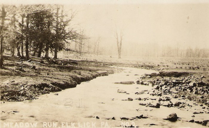 Meadow Run